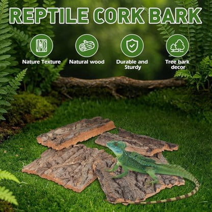 DOITOOL 8 Pcs Reptile Bark Hides, Tree Cork Bark Flats Terrarium Decoration