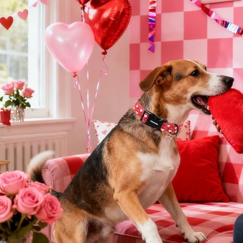 DOGWONG Valentine's Day Dog Collar-Cute Blue Heart Dog Collars, Adjustable Valentine Heart Pet Collars Puppy Collar with Quick Release Buckle for Girl&Boy Dogs,L