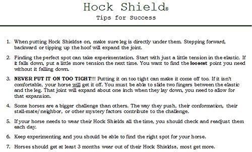 Click Horse Hock Shield, Horse Care Boots, Hock Shield for Horses w/ Fleece Lining, Prevents Hock Sores & Bed Sores, Tear Resistant Hock Protectors for Horses, Black w/ Green Trim