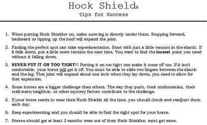 Click Horse Hock Shield, Horse Care Boots, Hock Shield for Horses w/ Fleece Lining, Prevents Hock Sores & Bed Sores, Tear Resistant Hock Protectors for Horses, Black w/ Green Trim