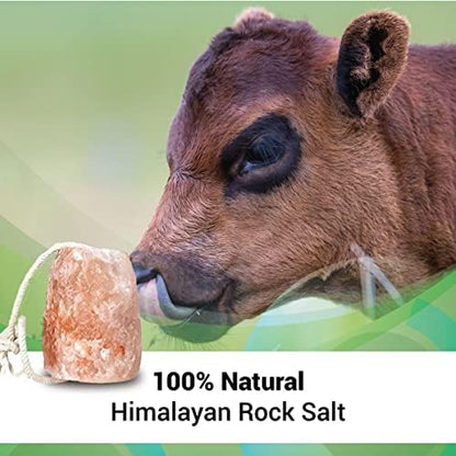 Himalayan Lick Animal Salt Block on Rope (Pack of 2) (Approx. 9 lbs) 100% Natural and Organic for Horses/Deer/Livestock- Free of Harmeful Chemicals