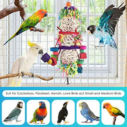 Bissap Conure Toys, Bird Parrot Foraging Shredder Hanging Toys Sola Balls Sepak Takraw with Bell for Small Parrots Parakeets Conures Cockatiels Love Birds Cage Toy (Pack of 2)