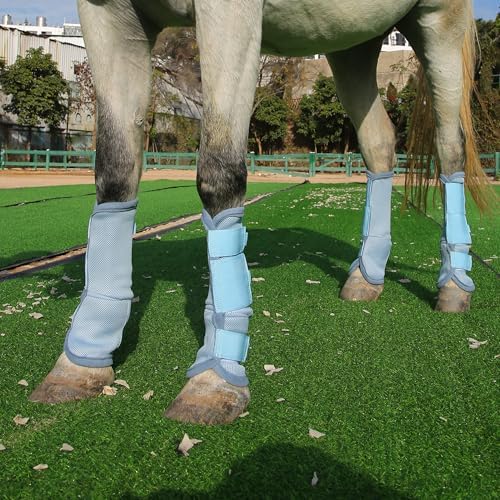 Horse Fly Boots, Mesh Fly Boots for Horse Set of 4, Equine Leg Protection