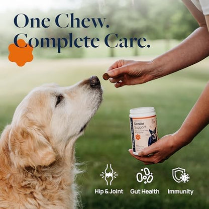 Veterinary Formula Smart Vitality Senior Support Supplement, 60 Soft Chews
