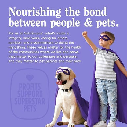 NutriSource AmpliFull Salmon Flavor Skin & Coat Soft Chews for Dogs, Daily Omega-3 Fatty Acids, Zinc & Biotin Supplement for Shiny Coat & Healthy Skin, 70 Chews (1 Pack)