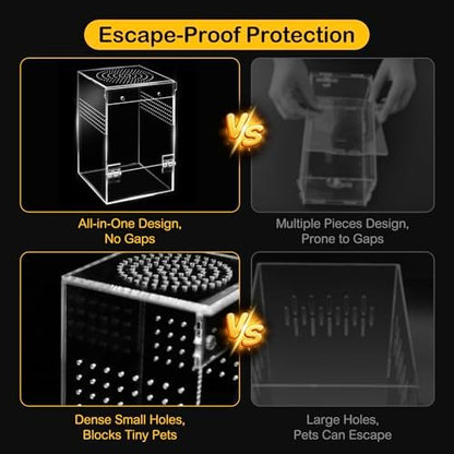 Jumping Spider Enclosure Starter Kit,Escape Proof Forest Terrarium