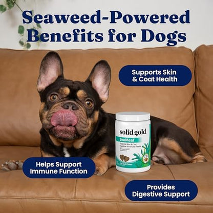 Solid Gold Dog Vitamins, Multivitamin Chews for Immune & Skin, 120ct