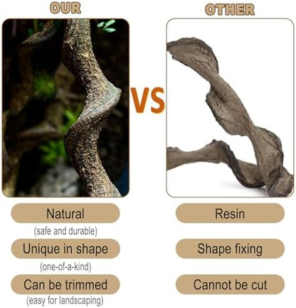 BNOSDM Reptile Forest Climbing Branch Decor 6PCS Crested Gecko Climb Wood Natural Branches Tree for Snake Frog Chameleon Spider Bearded Dragon Terrarium Habitat Tank Accessories