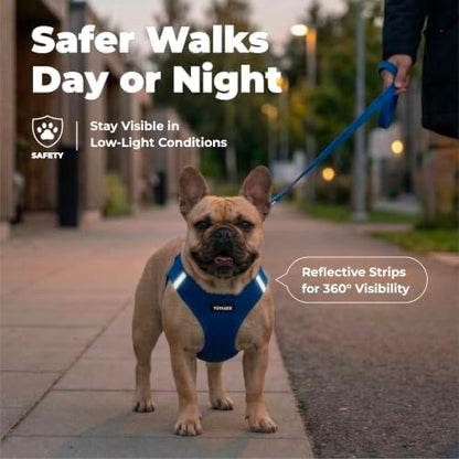 Best Pet Supplies Voyager Step-in Air Harness - All Weather Mesh, Reflective, No Pull Harness for Dogs, Cats - Secure with Hook & Loop Fastener, Buckle, Double D-Rings - Royal Blue, XS