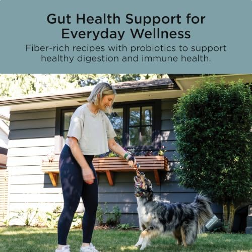 Go! Solutions Digestion + Gut Health Chicken Dry Dog Food, 3.5 lb