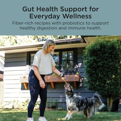 Go! Solutions Digestion + Gut Health Chicken Dry Dog Food, 12 lb