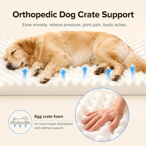 Orthopedic Pet Beds for Large Sized Dog 41x27 Inch Navy