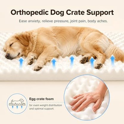 Orthopedic Pet Beds for Large Sized Dog 41x27 Inch Navy