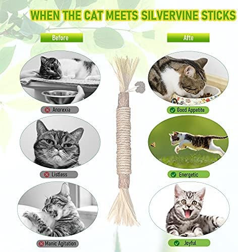 BAWAN Silvervine Sticks Cat Chew Toys for Indoor Cats Dental Care Teeth Cleaning, Natural Kitten & Cat Teething Toys for Health, Cat Chew Stick Suitable for All Breeds of Aggressive Chewers Cat