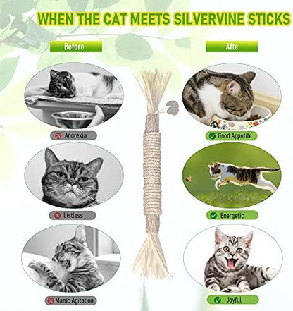 BAWAN Silvervine Sticks Cat Chew Toys for Indoor Cats Dental Care Teeth Cleaning, Natural Kitten & Cat Teething Toys for Health, Cat Chew Stick Suitable for All Breeds of Aggressive Chewers Cat