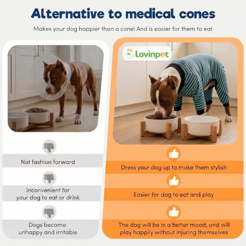 LovinPet Dog PJS Apparel for Large Dogs, Cyan Blue Stripe, 3XL