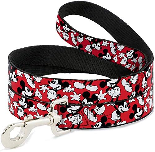 Disney Dog Leash