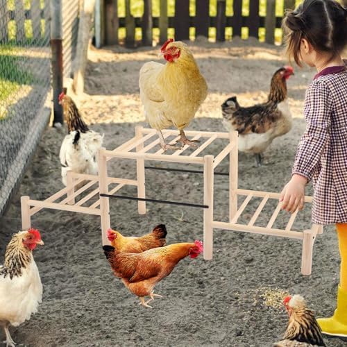 Chicken Perch, Natural Beech Wood Roosting Ladder for Poultry