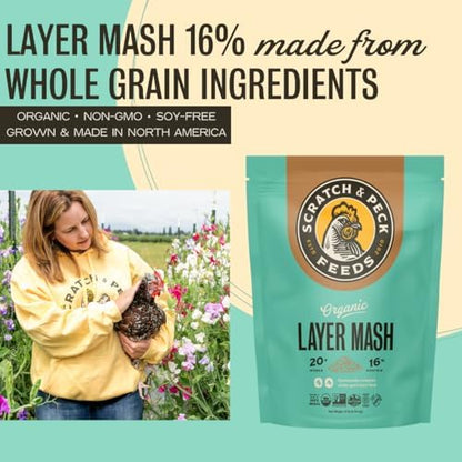 Scratch and Peck Feeds | Layer Mash for Chickens & Ducks | 10 lb Pouch
