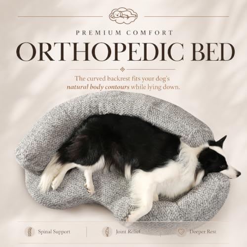XXL Orthopedic Memory Foam Dog Bed, Large, Beige