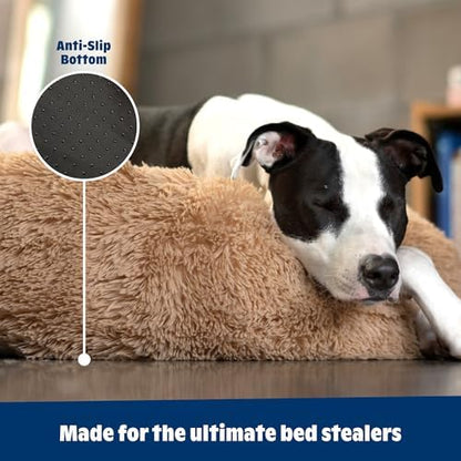 Barkbox Dog Bed Memory Foam Donut Cuddler - Calming Orthopedic Joint Relief Fur Crate Lounger for Pets, Machine Washable + Removable Cover, Waterproof Lining, Includes Toy - Larger Pets - 65lbs