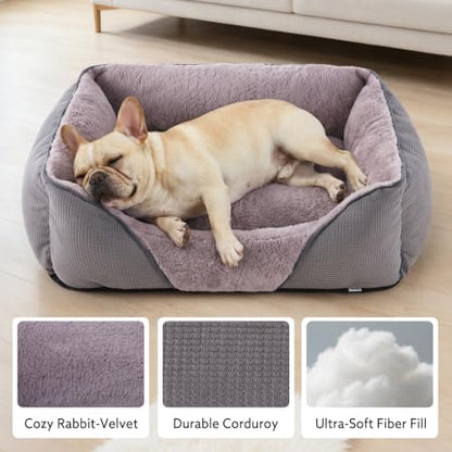 MIXJOY Dog Beds for Large Dogs, Big Pet Bed Large Size Dog Washable, Orthopedic Calming Soft Pet Beds Cuddler, Rectangle Sleeping Rabbit-Velvet Cozy Puppy Bed with Anti-Slip Bottom (35x25in, Grey)