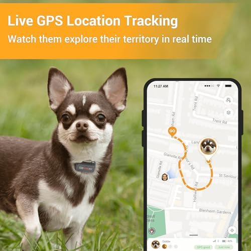 Pawfit Lite 4G GPS Dog Tracker, Live Tracking, Ultra-Light, Onyx Black