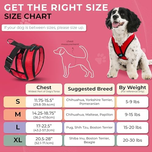 Gooby Comfort X Head-in Dog Harness, Choke-Free, Red, Small