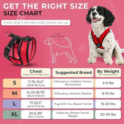 Gooby Comfort X Head-in Dog Harness, Choke-Free, Red, Small