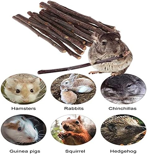 ANDES Natural Apple Sticks, Molar Chew Toys for Rabbit Bunny10oz(300g)