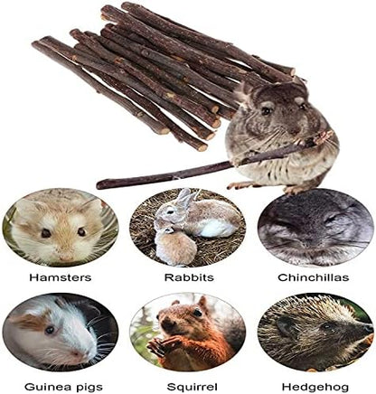 ANDES Natural Apple Sticks, Molar Chew Toys for Rabbit Bunny10oz(300g)