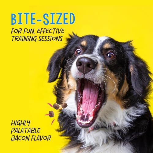 Crazy Dog Mini Train-Me! Training Treats 10 oz. Bag, Bacon Flavor, with 500 Treats per Bag, Recommended by Dog Trainers
