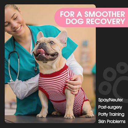 FUAMEY Recovery Suit for Dogs, Dog Onesie for Surgery Female Surgical Suit