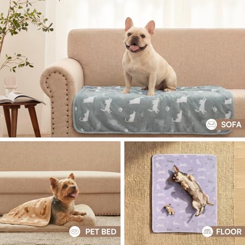 Luciphia Dog Blanket 3 Pack, Soft Cozy Fleece Throw for Puppy Cat,41"x31"