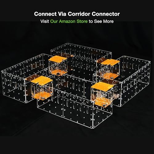 GuineaLoft™ Model-C2 Acrylic Cage - Small 2x1ft Open Cage