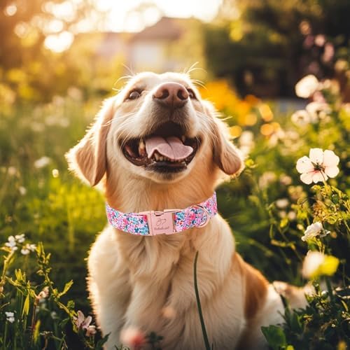 Floral Dog Collar, Cute Spring Summer Girl Dog Collars - Soft Adjustable Everyday Collars for Small Medium Large Dogs, Rustic Wildflowers Female Dogs Collar XL