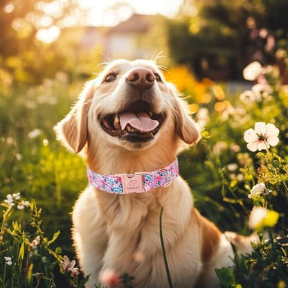 Floral Dog Collar, Cute Spring Summer Girl Dog Collars - Soft Adjustable Everyday Collars for Small Medium Large Dogs, Rustic Wildflowers Female Dogs Collar XS