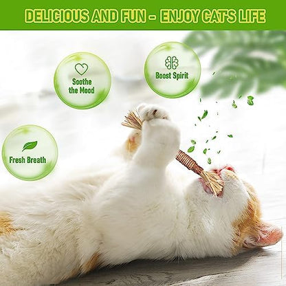 BAWAN Silvervine Sticks Cat Chew Toys for Indoor Cats Dental Care Teeth Cleaning, Natural Kitten & Cat Teething Toys for Health, Cat Chew Stick Suitable for All Breeds of Aggressive Chewers Cat