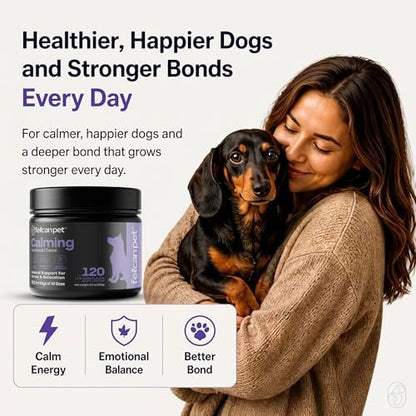 Calming Chews for Dogs – Natural Support for Dog Anxiety, Stress & Relaxation with L-Theanine, Chamomile & Melatonin – Chicken Flavor – 120 Soft Chews