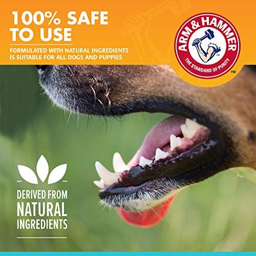 Arm & Hammer Tartar Control Dental Mints for Dogs, Beef, 40 Ct, 60-Pk