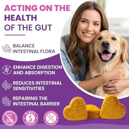 Dog Allergy Chews for Immune Support,500 PCs Formula Supports Skin Health, Relieve Itching Improve Digestion, Allergy and Immune for Dogs