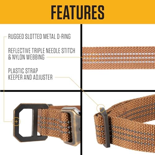 Carhartt Dog Collar Coral Glow L