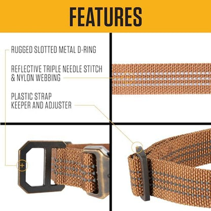 Carhartt Dog Collar Shaded Spruce M
