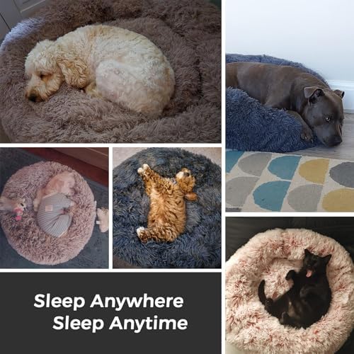 Calming Round Dog Bed & Cat Bed for Indoor Cats, Medium Size Washable Anti-Slip Anti-Anxiety Donut Dog Beds for Small Dogs & Cats, Fluffy Plush Soft Dog Bed(20 Inch, Blue Grey)