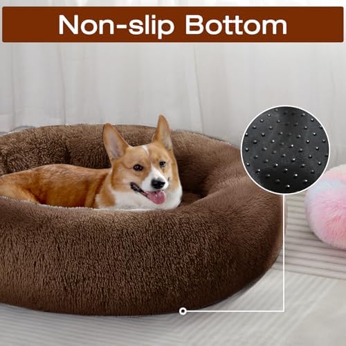 JOLLYVOGUE Dog Bed, Calming Anti-Anxiety Large Dog Bed, Fluffy Donut Cushion for Medium and Large Pets (31")