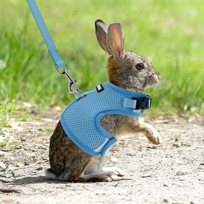 AIITLE Breathable Bunny Harness and Leash Set Escape Proof, Blue S