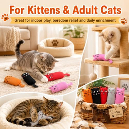 Legendog 5Pcs Bite Resistant Catnip Toy for Cats,Catnip Filled Cartoon Mice Cat Teething Chew Toy