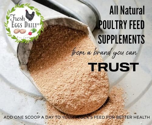 Fresh Eggs Daily Poultry Probiotics Feed Supplement – Natural Digestive & Immune Support for Chickens & Ducks – Enhances Egg Quality & Reduces Odor – 1 lb