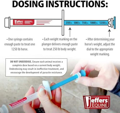 Jeffers Ivermectin Gel Dewormer for Horses - Apple Flavored, Broad Spectrum Dewormer Paste - Effective Parasite Control for Worms, Pinworms, Bots & More - Safe for Equine of All Ages- 6 Pack