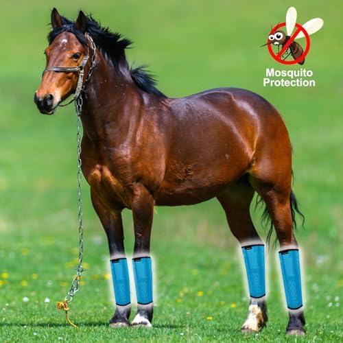 FOXLVDA Pony Fly Boots (Donkey/Mini Horse), Set of 4 - Loose Fitting Design, Breathable, Adjustable & UV Protective with Support Bars for Reduce Stomping & Leg Fatigue, 13hh-14.2hh (Blue, Medium)